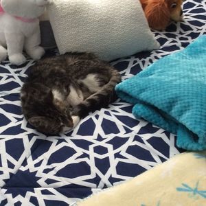 Meet your Posher, Dawn